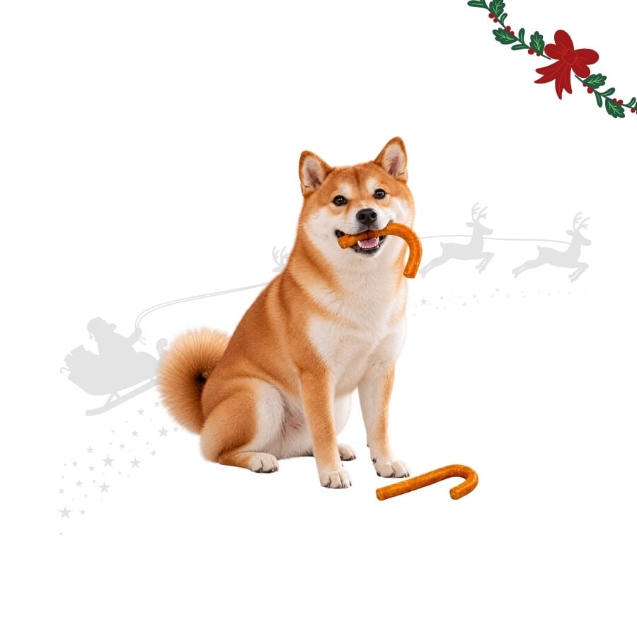 1 pack x 2 uds. Wonder Christmas D&uacute;o Bastones Navidad Snacks para perros, , large indicador imagen numero 1