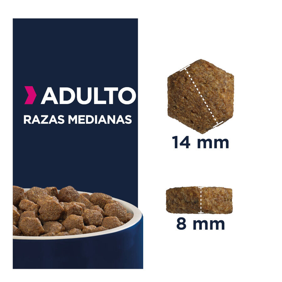 15 kg Eukanuba Adult Medium Pollo pienso para perros, , large indicador imagen numero 4