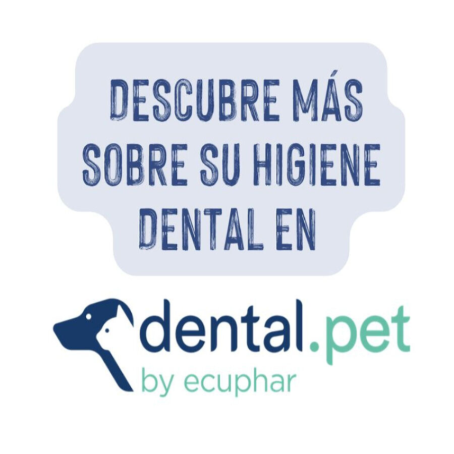 Ecuphar Plaqtiv+ Toallitas Dentales para perros y gatos, , large indicador imagen numero 5