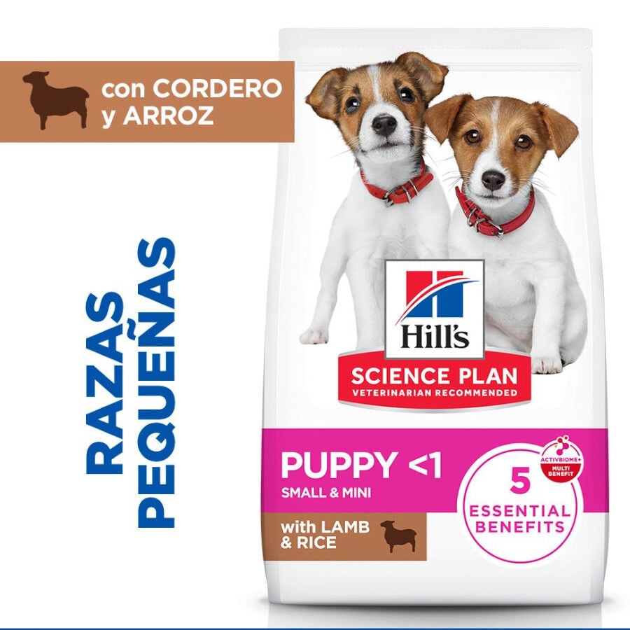 Hill's Science Plan pienso cordero y arroz para cachorros de razas peque&ntilde;as y mini