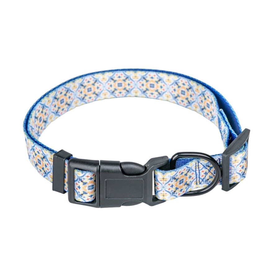 Summer Vibes Pack Correa y Collar Dolce Vita para perros, , large indicador imagen numero 3