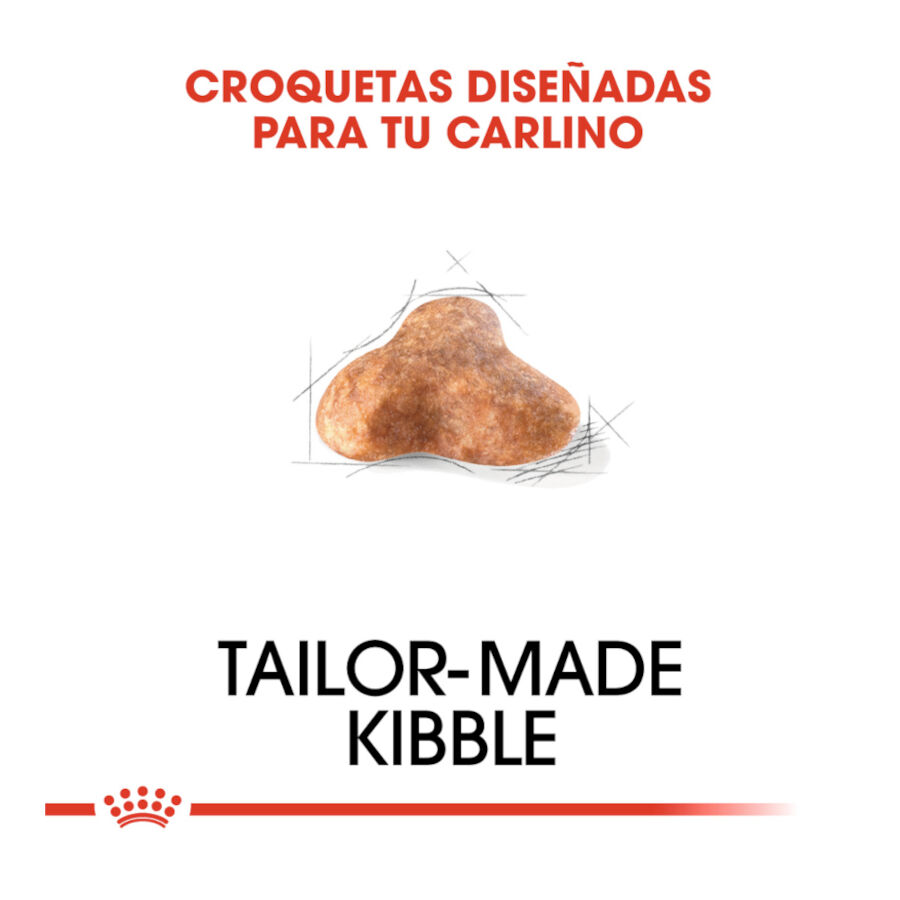 3 kg Royal Canin Adult Pug pienso para perros, , large indicador imagen numero 5