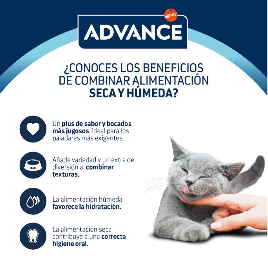 85 g Advance Adult Bocaditos con Pollo en salsa sobre para gatos, , large indicador imagen numero 4