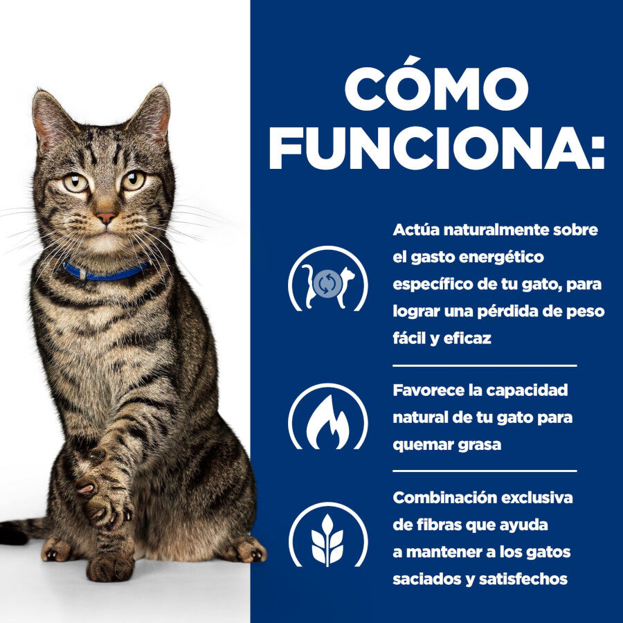 12 sobres x 85 g Hill's Prescription Diet Metabolic Feline pouches para gato , , large indicador imagen numero 11