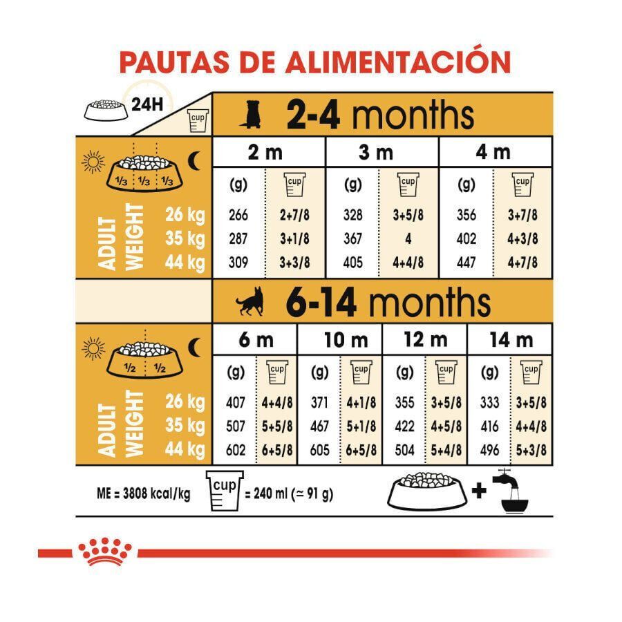 3 kg Royal Canin Puppy Pastor Alem&aacute;n pienso para perros, , large Imagen numero 9