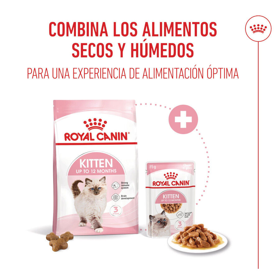 85 g Royal Canin Kitten sobre en salsa para gatos, , large indicador imagen numero 5