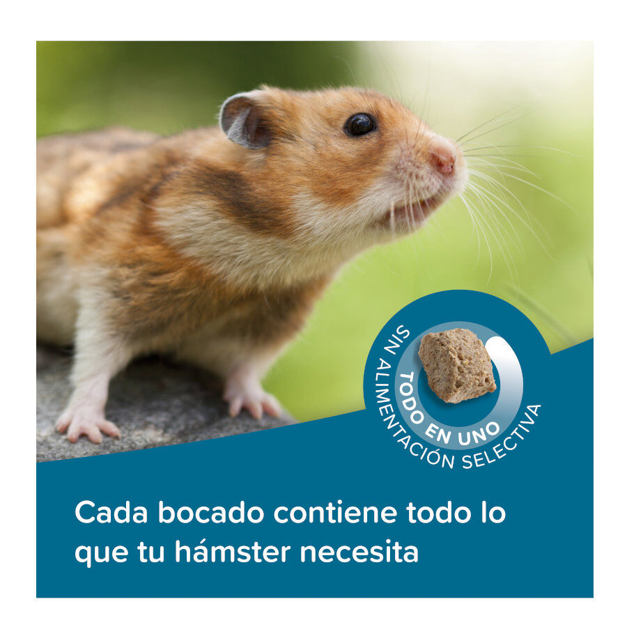 700 g Beaphar Care+ Pienso para h&aacute;msteres, , large indicador imagen numero 4