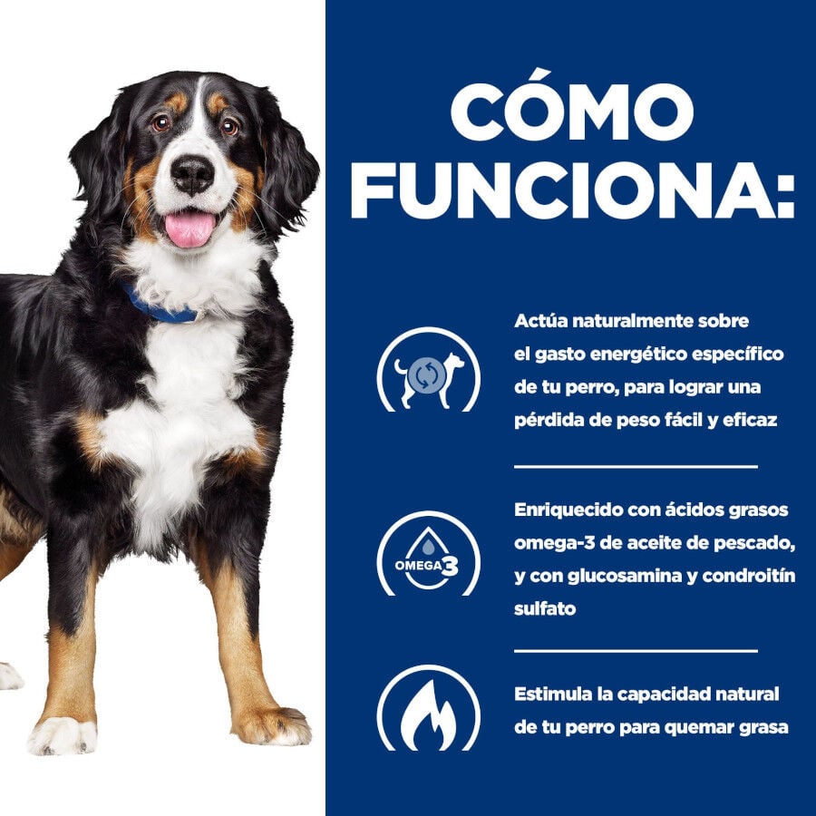 12 kg Hill's Prescription Diet j/d Metabolic + Mobility pienso para perros, , large Imagen numero 4