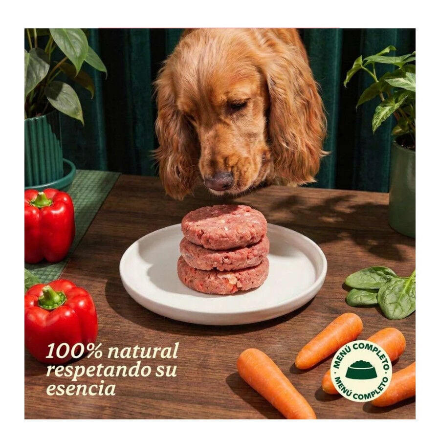 1 kg Wild Balance Barf Men&uacute; salm&oacute;n con verduras comida congelada para perros, , large indicador imagen numero 3