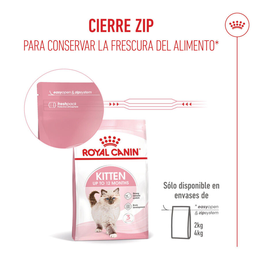 4 kg Royal Canin Kitten pienso para gatos, , large indicador imagen numero 13