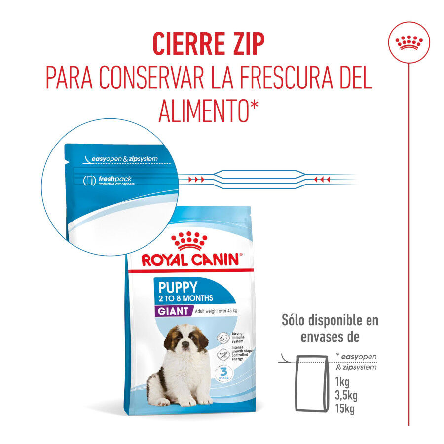 15 kg Royal Canin Puppy Giant pienso para perros, , large indicador imagen numero 9