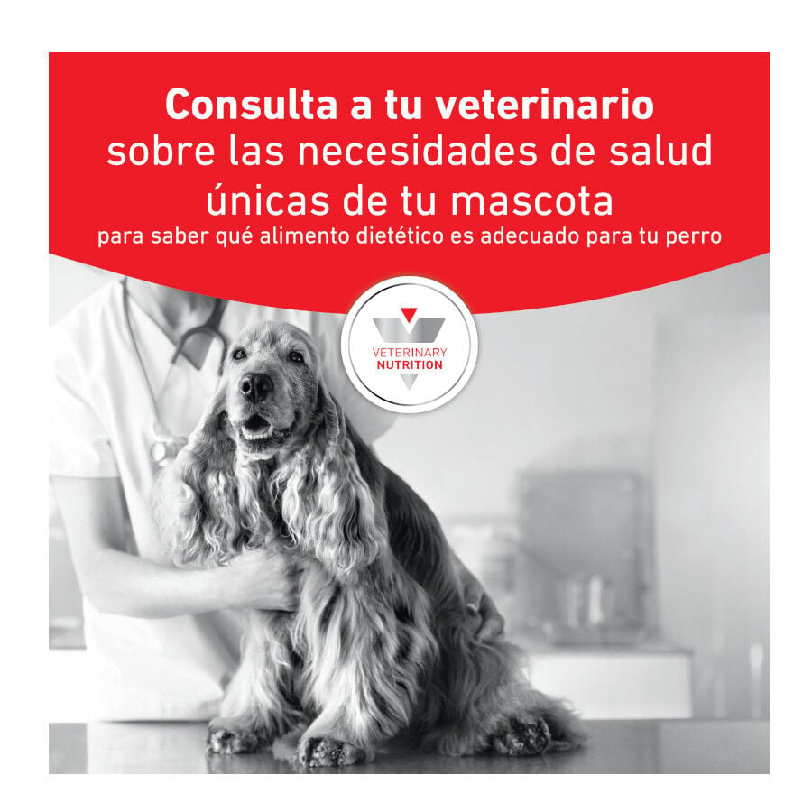400 g Royal Canin Veterinary Diet Gastrointestinal lata para perros  , , large indicador imagen numero 3