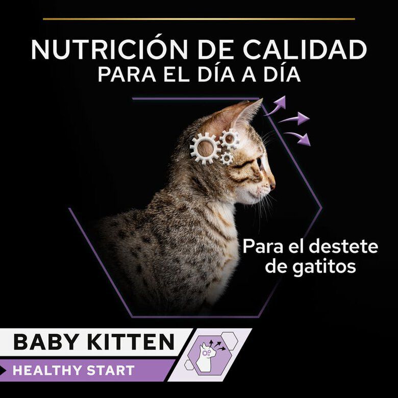 85 g Pro Plan Mousse Baby Kitten Pollo Lata para gatos&nbsp;, , large Imagen numero 3
