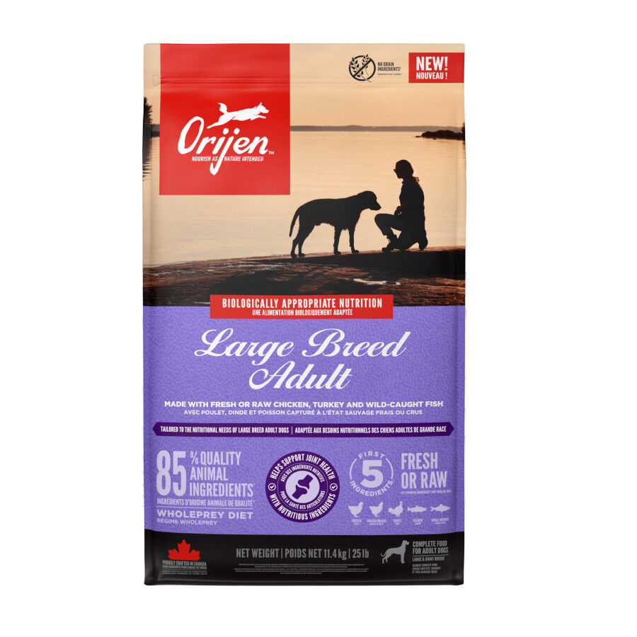Orijen Large Breed Adult Pienso para perros, , large Imagen numero 1