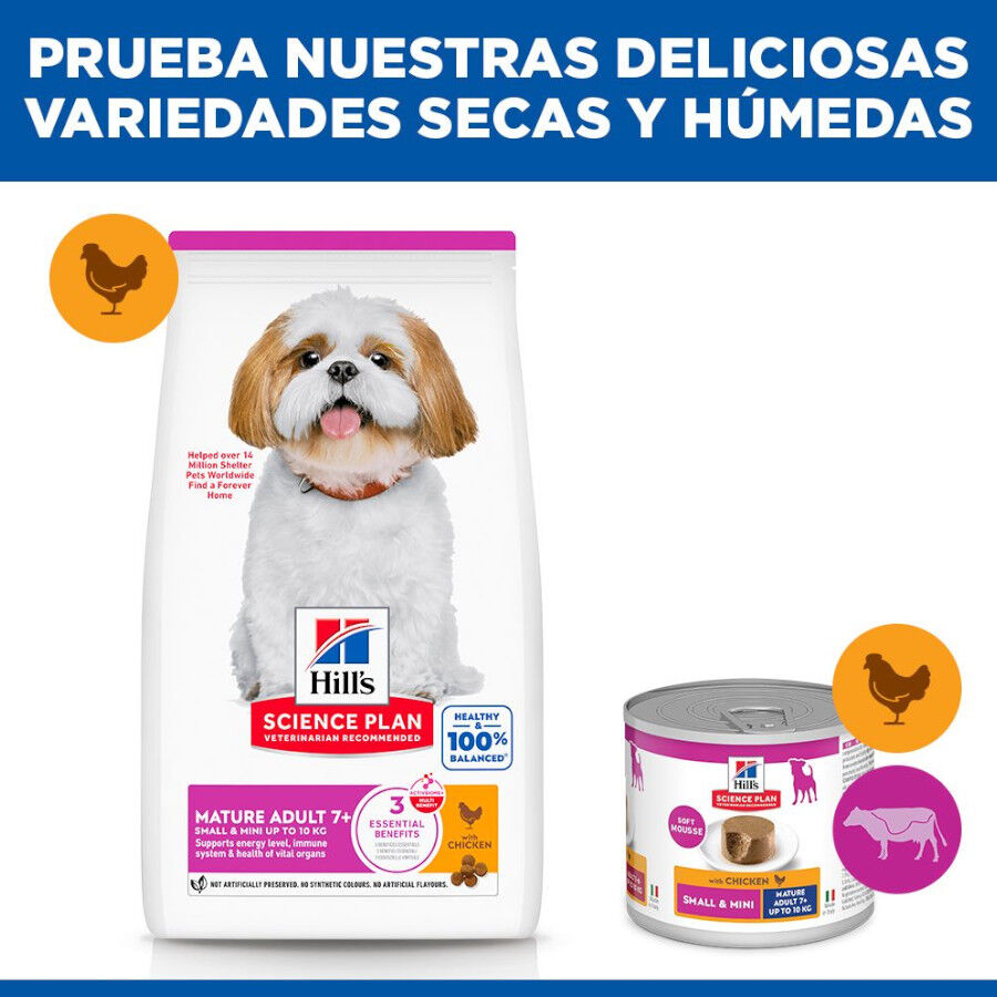 6 kg Hill's Science Plan Mature Adult Small y Mini pollo pienso para perros, , large Imagen numero 8