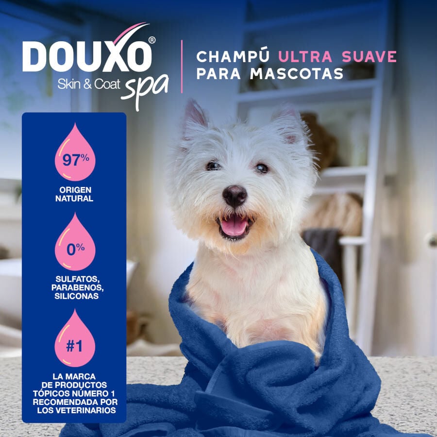 Ceva Douxo Spa Champ&uacute; Alivia para perros, , large indicador imagen numero 3