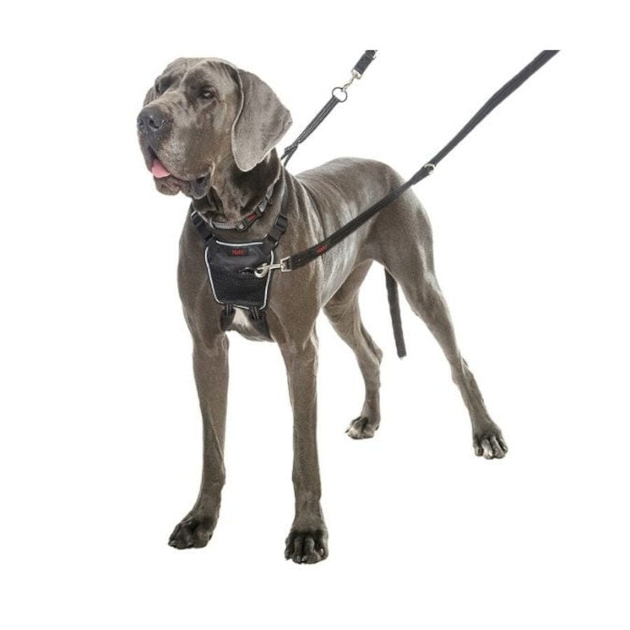 Halti Arn&eacute;s antitirones negro para perros, , large Imagen numero 3