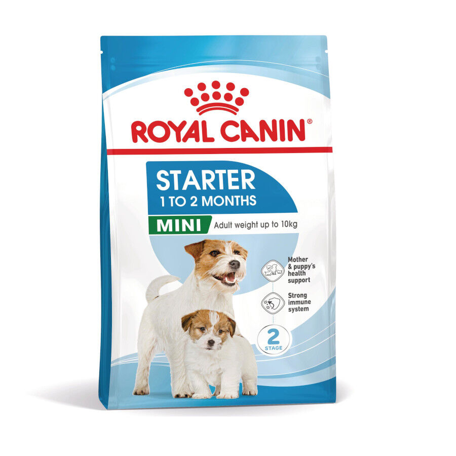 4 kg Royal Canin Starter MotheryBaby Mini pienso para perros, , large Imagen numero 2
