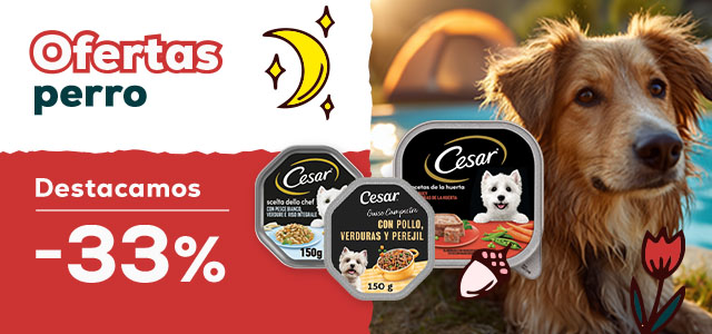Cesar: -33% en packs de comida húmeda