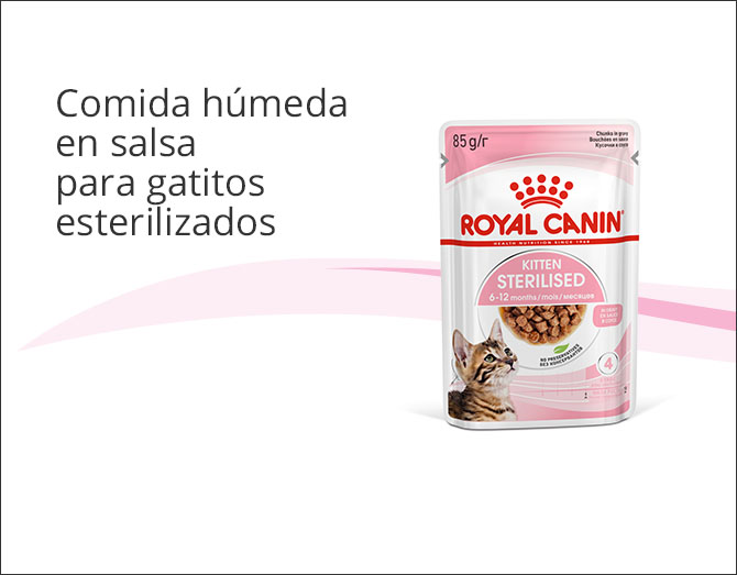Royal Canin Kitten Sterilised  comida húmeda en salsa 