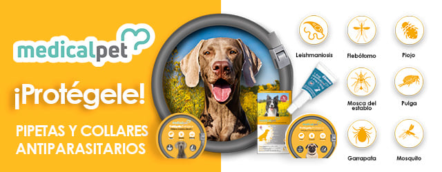 Collar Medicalpet: Descubre el nuevo collar antiparasitario para perros, eficaz contra pulgas, garrapatas y mosquito de la leishmaniosis