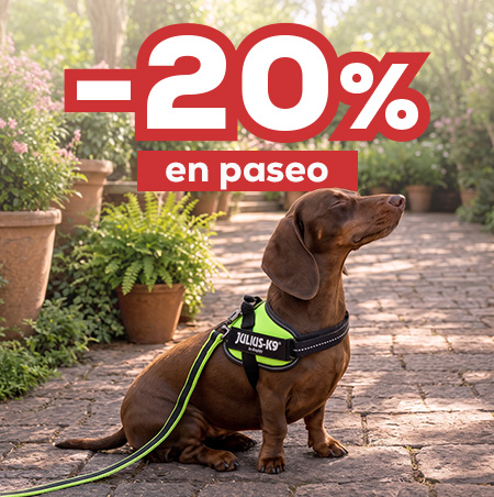 -20% en selección de Julius k9