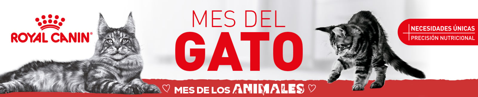 Mes del gato