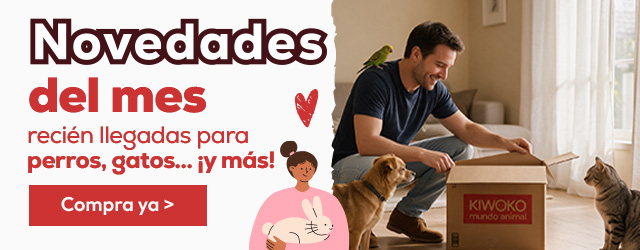Descubre las novedades de Septiembre