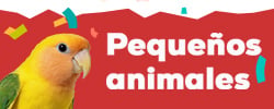 Descubre las marcas más animal lovers para pequeñas mascotas