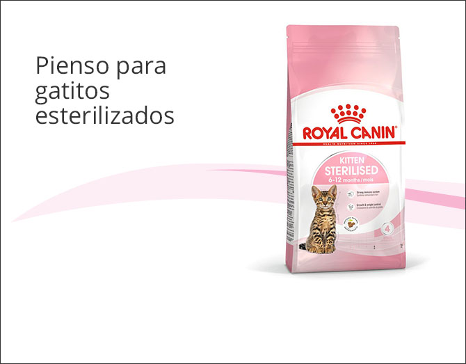 Royal Canin Kitten Sterilised pienso