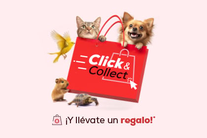 Banner novedades