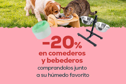 Banner higiene perro