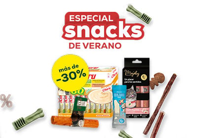 Banner paseo perro