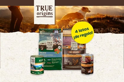 Banner ofertas perro