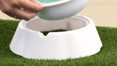 Bowl refrescante de Summer Vibes Bowl refrescante de Summer Vibes