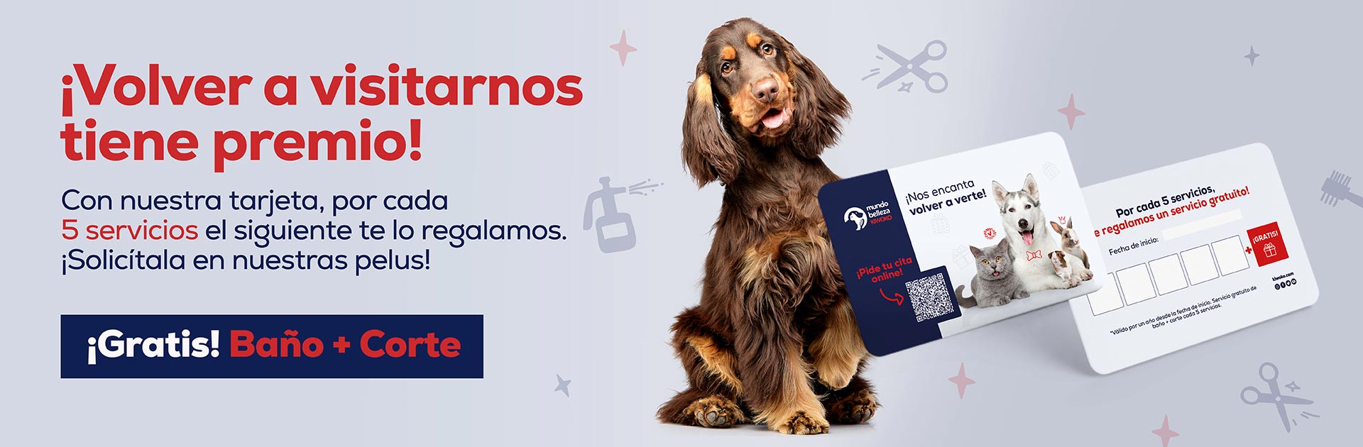 Pelazo asegurado