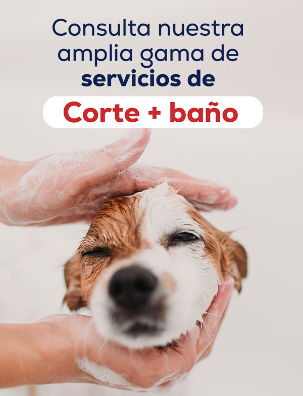 Packs especiales