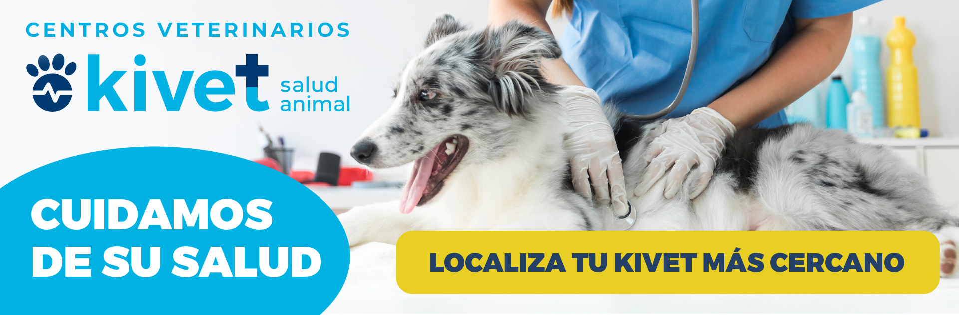 Baña tu mascota