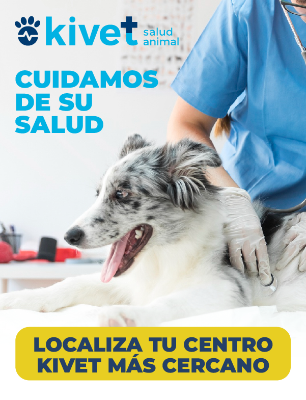 Baña tu mascota